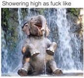 ELyYBq6XsAAv05E