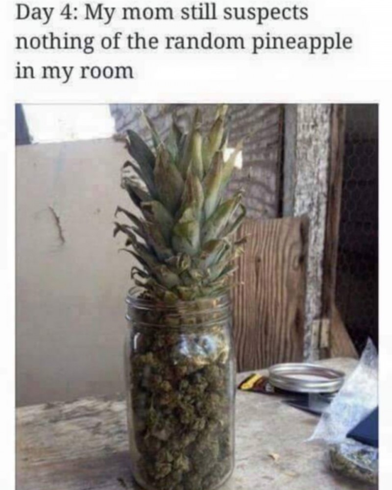 E5oGtvlXEAElKQ7