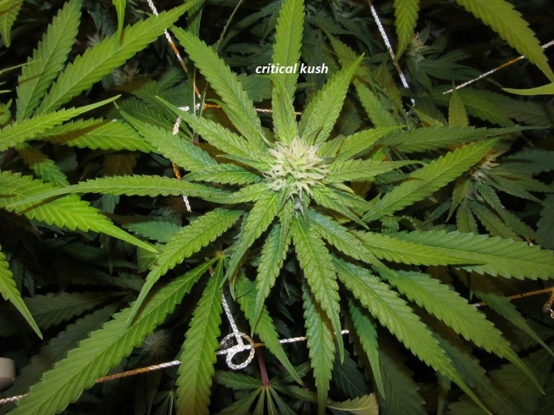 26 days in (5)