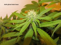 26 days in (6)