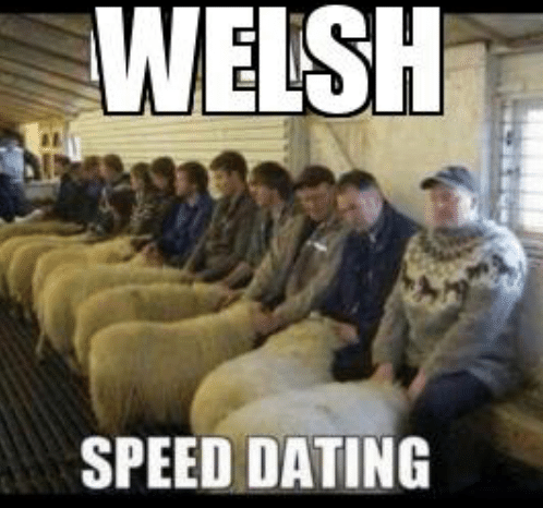 welsh-speed-dating-emecreator-org-meme-creator-funny-welsh-meme-49507137