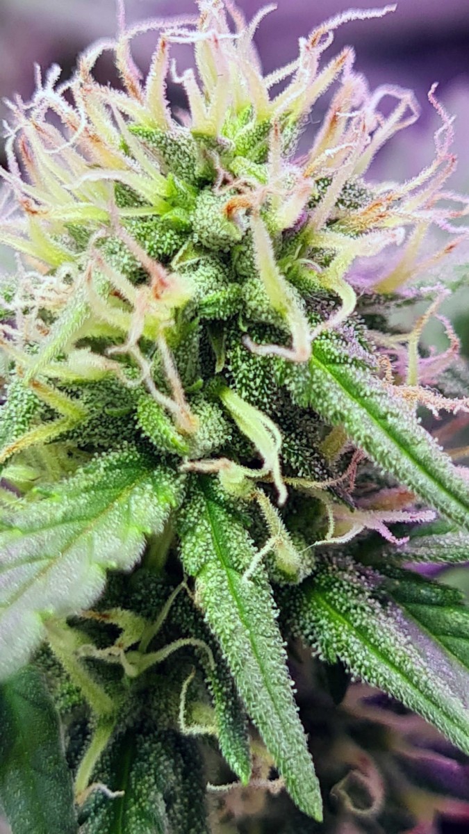 Day 36 (2)