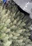 B23E1D97-9441-40D1-BD81-969CBFF2BEE8