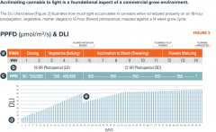 Screenshot 2021-07-14 at 09-38-07 FLU-CultivationGuide_Cannabis_WEB_PROOF_01-2020 pdf