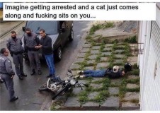 E6Q5_ztVkAAfiv5