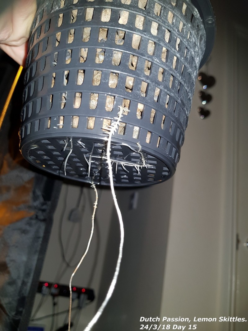 20180324_104946