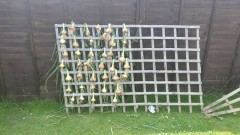 IMG_20210721_144313_104