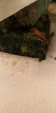 IMG-20181120-WA0032