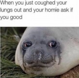 E7eI2U8VIAEnXzq