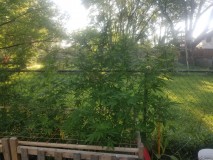 20210802_081155