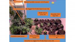 veg082121