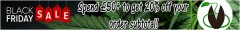 topbanner