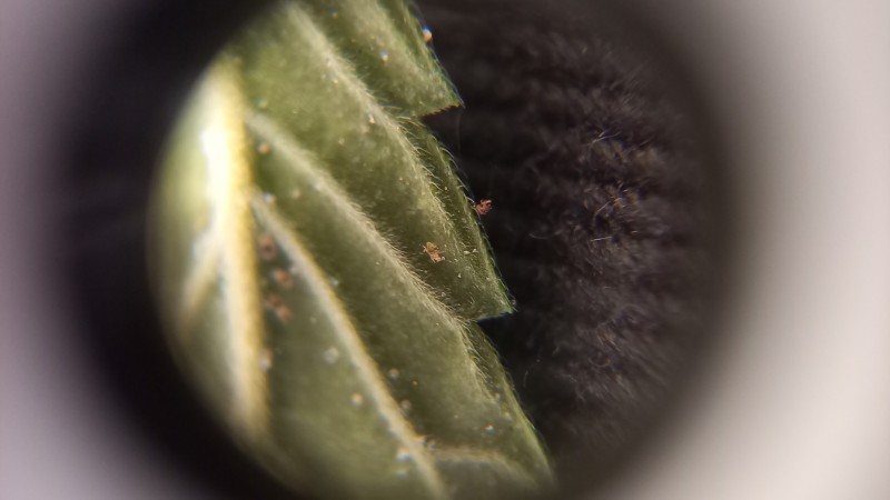 20210808_095906
