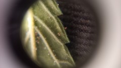 20210808_095906