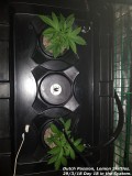 20180329_110017