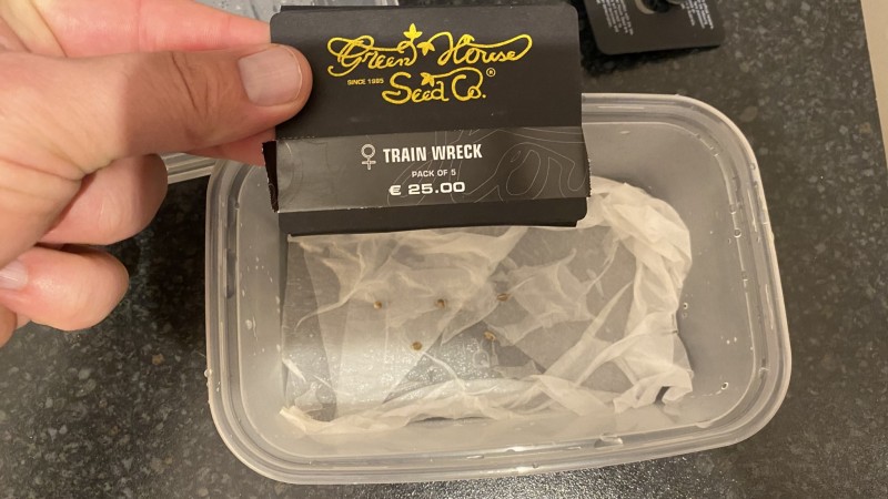 Seeds n stuff