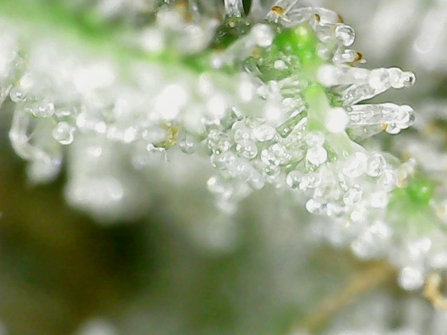 S20210810_0005