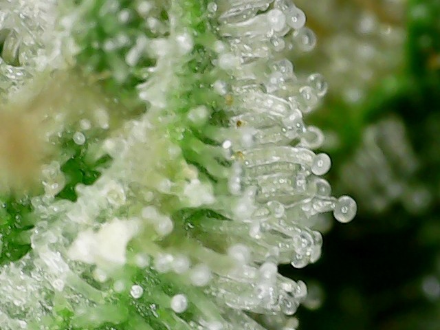 S20210810_0012