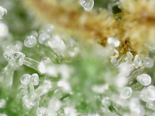 S20210810_0006