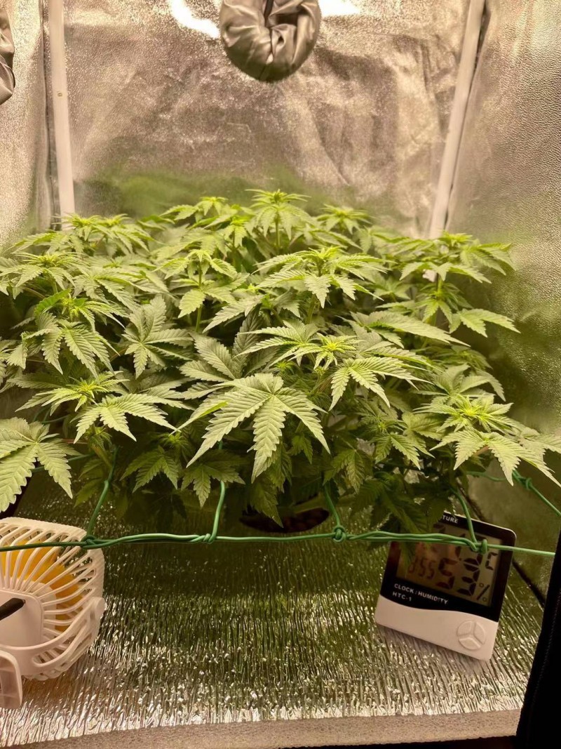 Start week 3-1