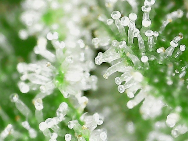 S20210816_0004