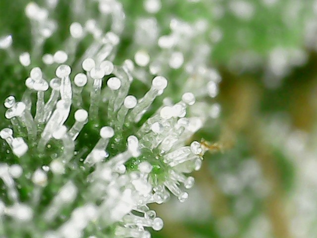 S20210816_0008