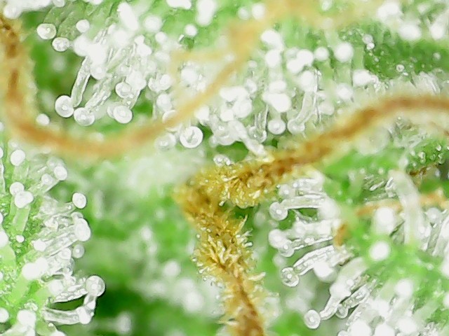 S20210816_0010
