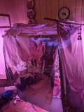 PXL_20210817_153541997