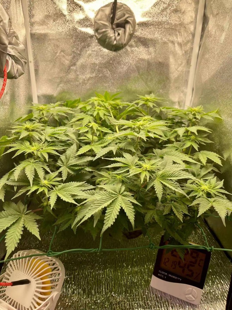 Week 3-day 3-1