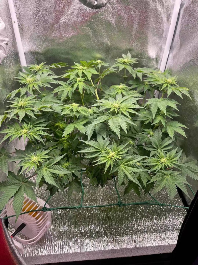 Week 3-day 3-3