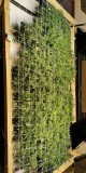IMG-20181125-WA0017