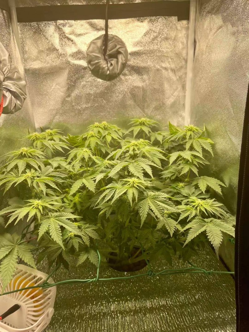 Week 3 day 5-1