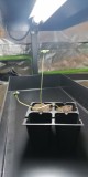IMG-20181126-WA0007