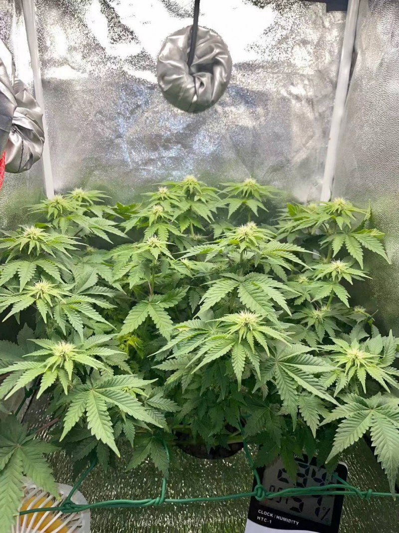 Week 4 day 1-1