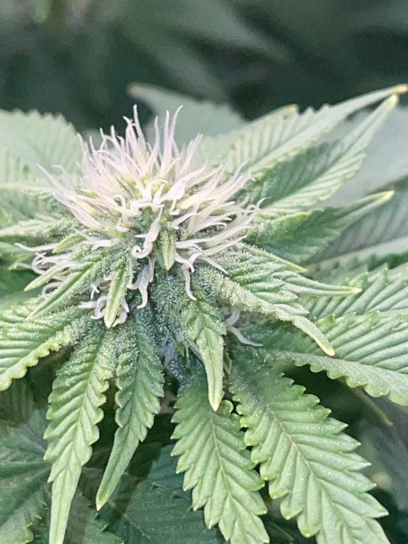 Week 4 day 4-2