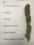 Hobbit BOTM Nov 2018