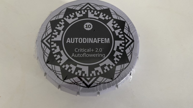Critical auto