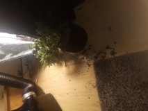 20210905_211649