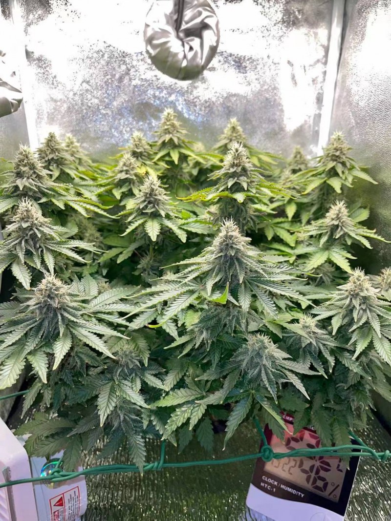 week 6 day 6-1