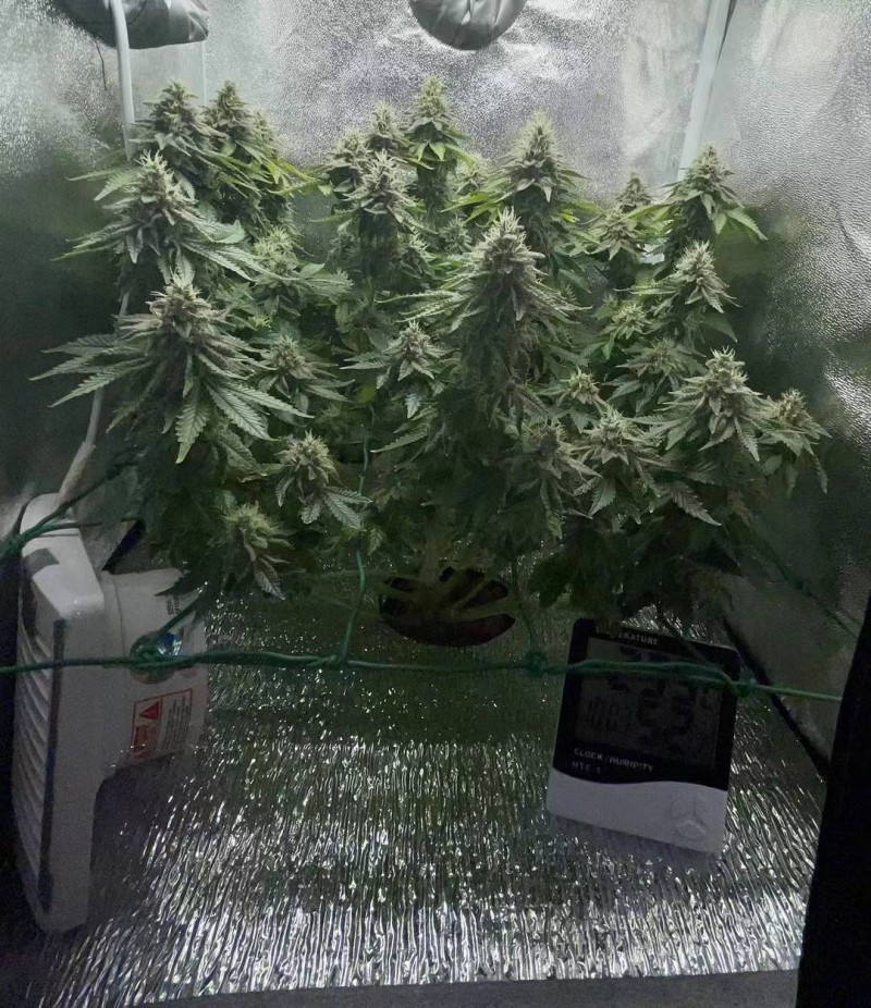 week 7 day 1-1