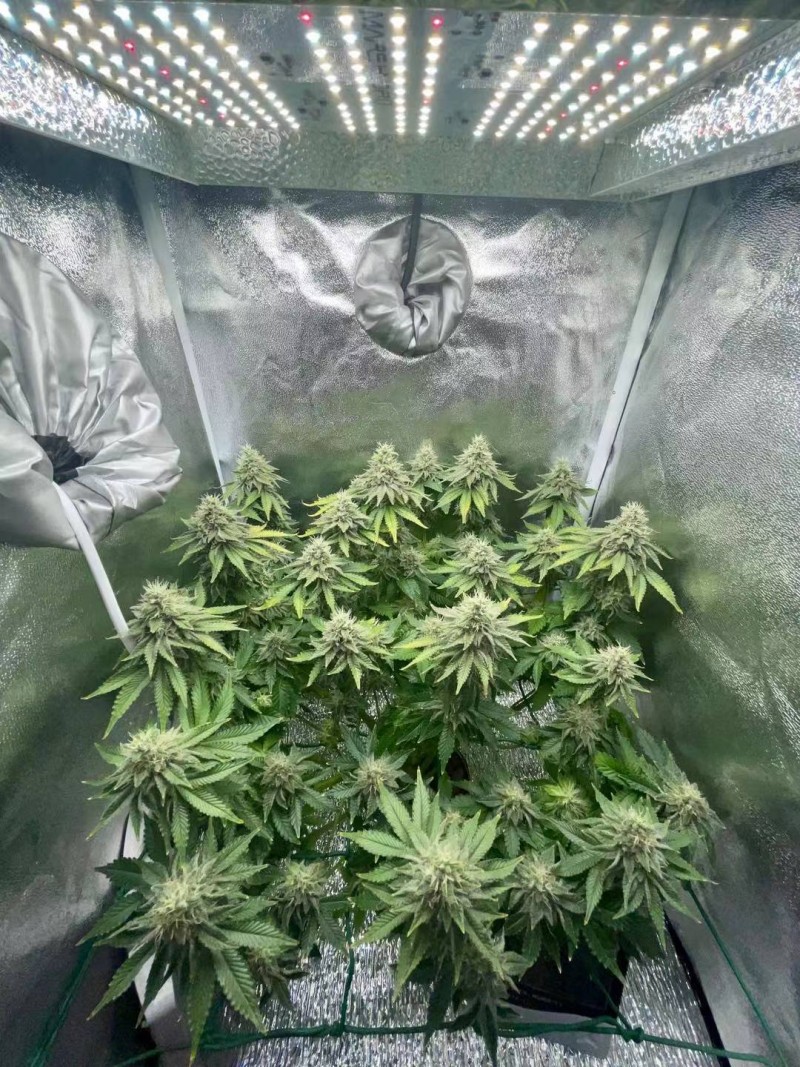 week 7 day 1-2
