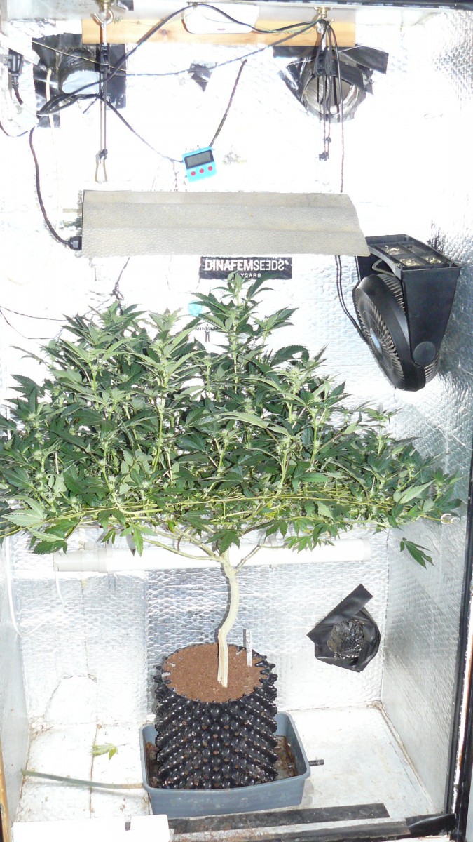 tangie vk cj 15 09 21 036