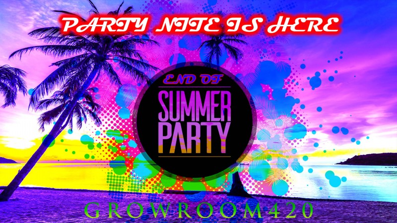 MN PARTY IS HERE