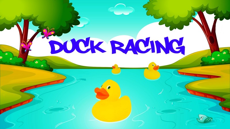mn duck race
