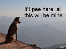 E_sgpXYVEAYzB9E