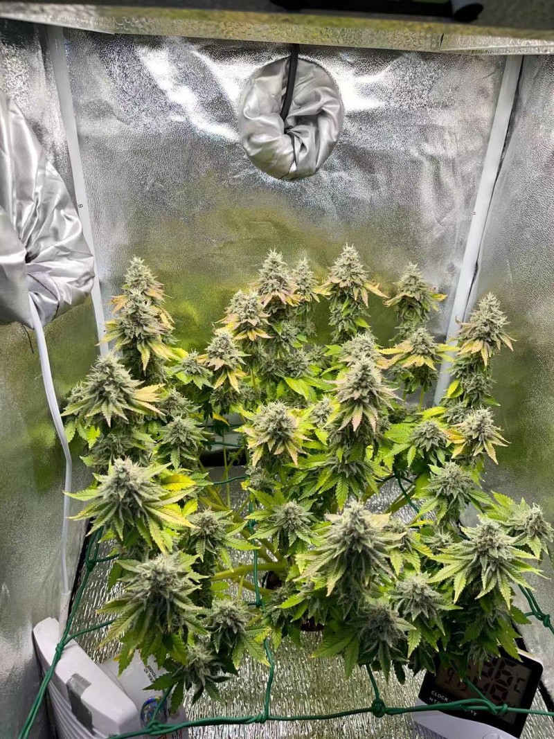 Week 8 Day 3-1