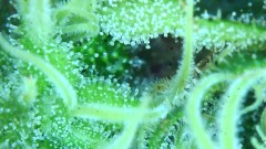 IMG_3263[1]
