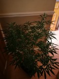 IMG_20210928_145318