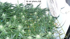 drobes 30 09 21 007