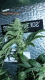 drobes 30 09 21 038